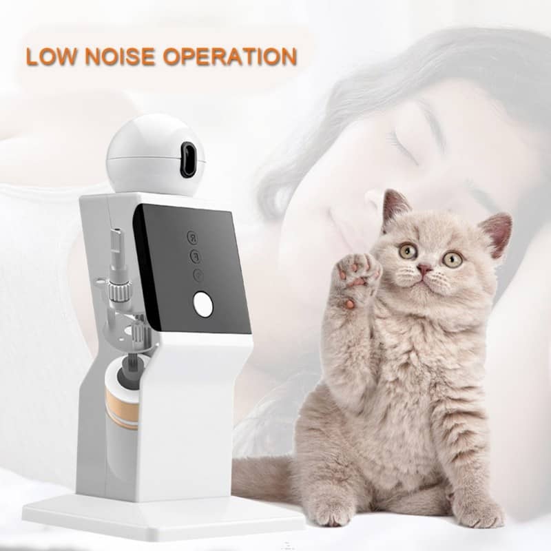 Cat Interactive Toy LED Laser